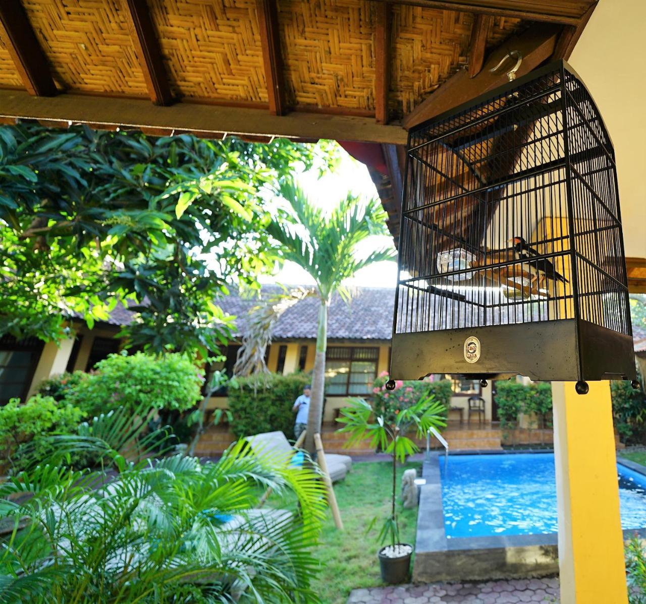 Mangga Bungalow Санур Экстерьер фото